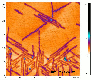  .   ,   -  - .      5 ,     ,       .          30  90      .            ,       -,      .      -    .
: Nanoscope-3 (USA).